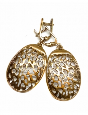 527 Brass earrings