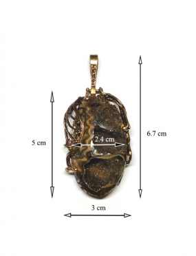 1893 Brass pendant with Ammonite