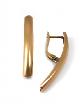 2316 Brass earrings