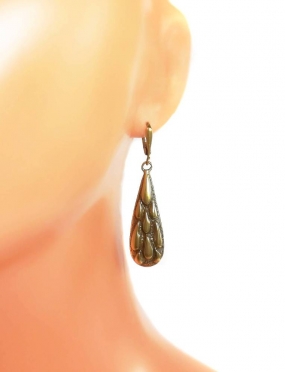 2310 Brass earrings