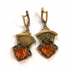 2248 Brass earrings