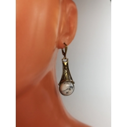 2341 Brass earrings with Dendritic Agate